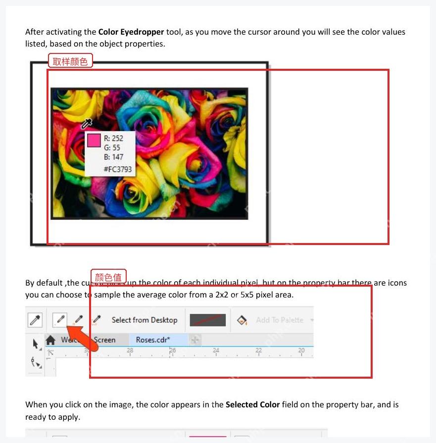 CorelDRAW 使用吸管在图像颜色上取样并显示颜色值