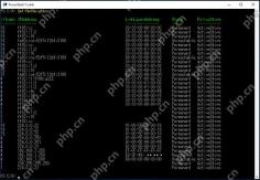 Windows 11 用 Get-NetNeighbor 查看状态的真实界面截图