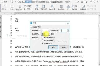 WPS如何设置调整文档行编号选项?设置效果