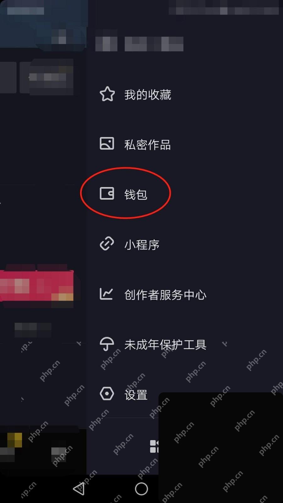 抖音侧边菜单钱包入口