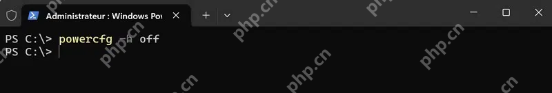 win11休眠文件太大怎么办_win11休眠文件空间占用处理思路 - php中文网