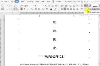WPS如何显示/隐藏段落布局按钮？设置效果