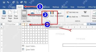 Word 插入选项卡中选择 1 行 2 列表格,用于设置文字和图片并排