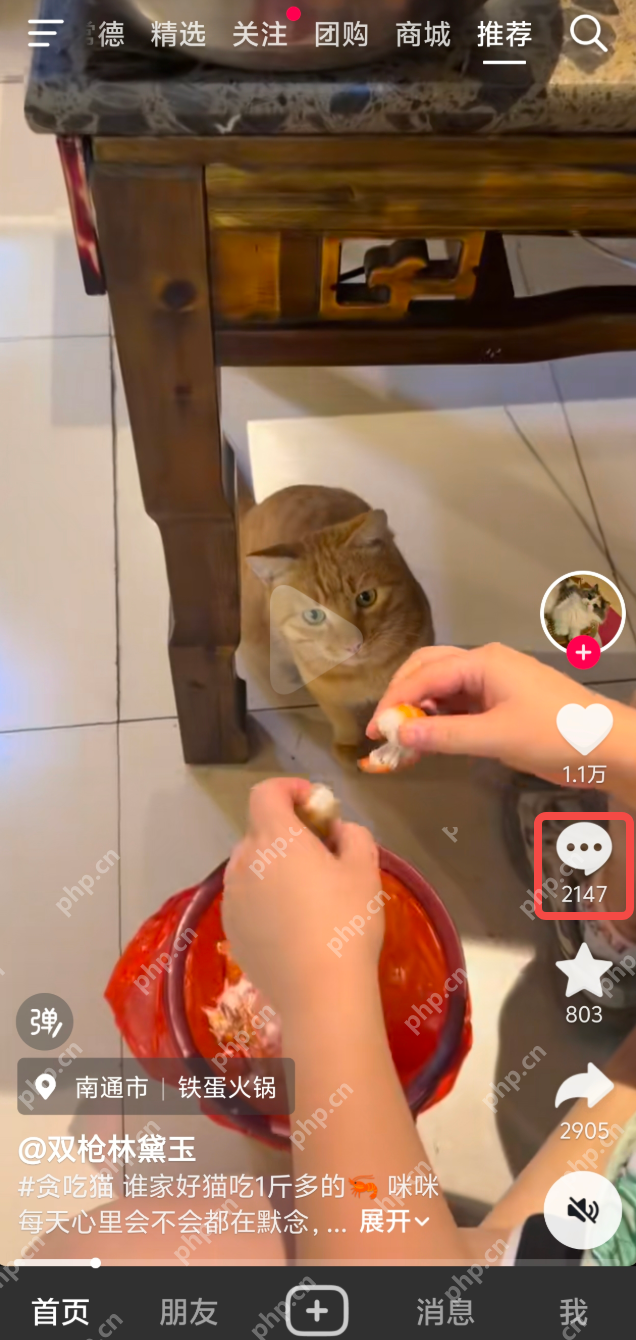 抖音中秋玉兔表情领取入口_抖音中秋玉兔表情获取攻略 - php中文网