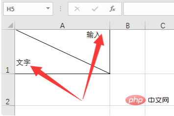 How to type when an Excel table is divided into two slashes