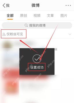 微博可见范围设置完成后的状态