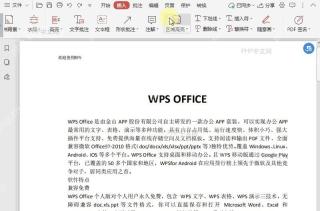 PDF如何在PDF文档中高亮区域？中间操作