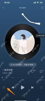 网易云音乐app怎么设置单曲循环步骤图3