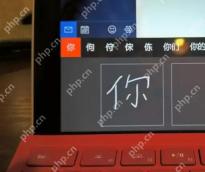 Win10 手写面板书写中文字符后上方显示候选词预测