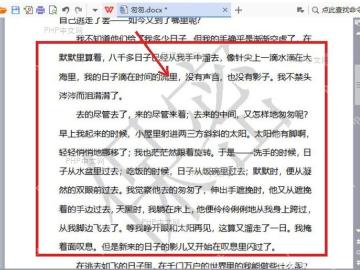 WPS 文档页面中水印已经显示在正文后方