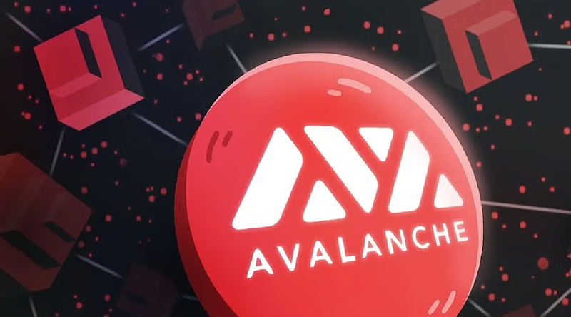 老韭菜血泪总结！【AVAX/BNB】波段操作5大致命误区 - php中文网
