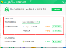 360浏览器防护设置页显示锁定浏览器首页和默认浏览器保护选项。