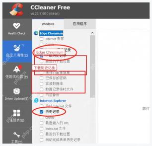 CCleaner 中文 Windows 电脑端自定义清理 Edge Chromium 下载历史记录勾选项