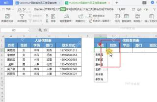 Excel查询区姓名单元格展开员工名单下拉选项