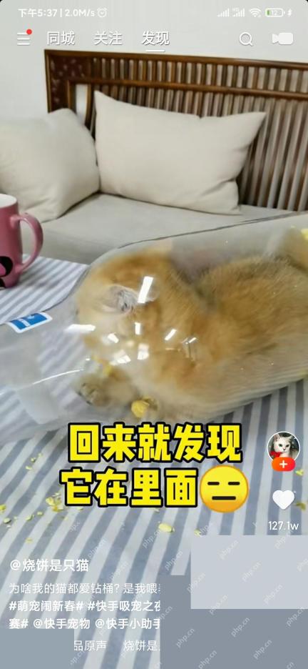 快手极速版怎么查看作品播放量