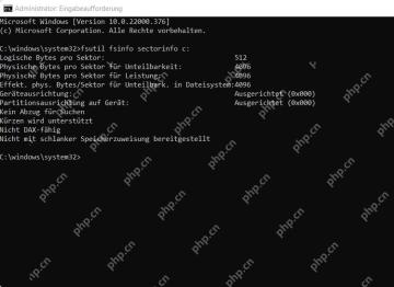Windows 11 管理员命令提示符运行 fsutil fsinfo sectorinfo 查看逻辑和物理扇区