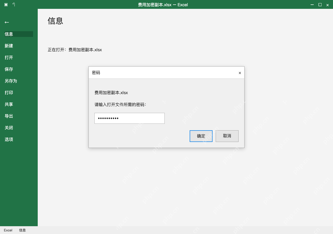 模拟 Microsoft Excel Windows桌面版 完整窗口：保存关闭后重开，出现打开密码提示再核对