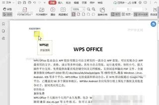 PDF如何隐藏/显示PDF注解的详情框?设置效果