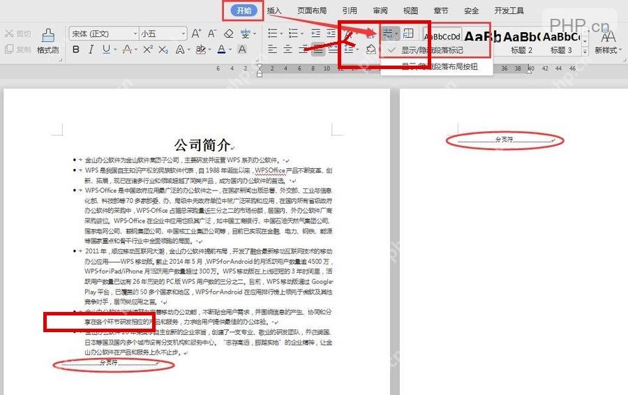 WPS 开始选项卡显示隐藏段落标记后查看分页符标记