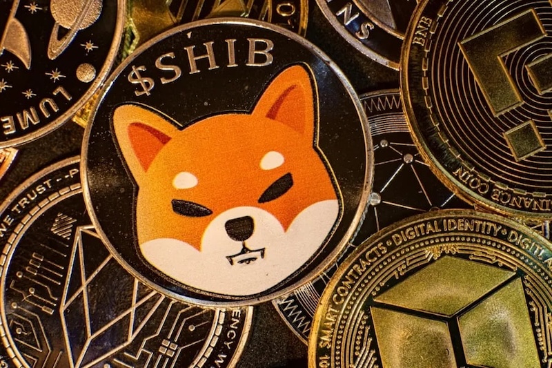 柴犬币SHIB生态发展：除了交易还能在哪里使用？ - php中文网