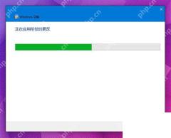 Win10 安装 DirectPlay 旧版游戏组件