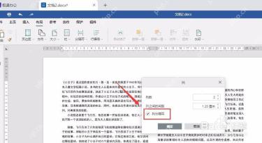 Word 更多分栏里勾选列分隔符
