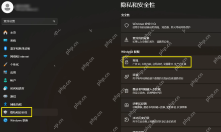 Win11 隐私和安全性页面中的常规入口