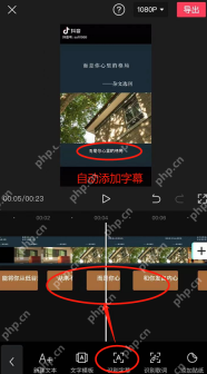 抖音APP怎么使用自动字幕功能并手动纠错