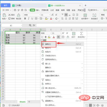 Comment copier un tableau dans Excel pour lui donner la même taille que loriginal