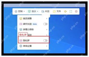 ToDesk Windows 显示菜单中的隐私屏开关