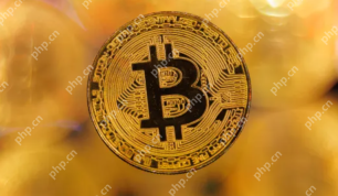 2026虚拟币全球十大交易App 币圈合规与费率全对比 - php中文网