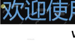 PDF播放时，如何放大页面？设置效果