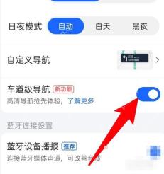 高德地图导航设置页打开车道级导航开关