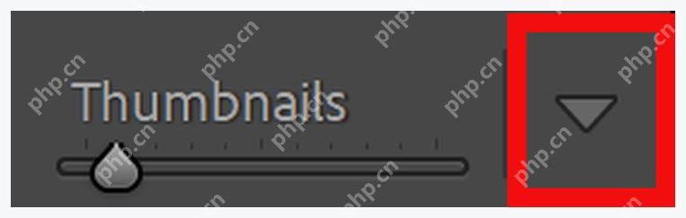 Lightroom Classic Library 工具栏显示评分和颜色标签控件