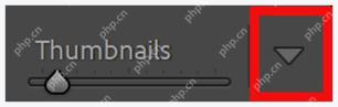 Lightroom Classic Library 工具栏显示评分和颜色标签控件