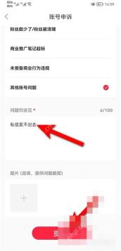 小红书 HarmonyOS 账号申诉提交页面，用于提交私信发不出去的问题