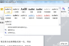 使用格式刷复制已有文字格式