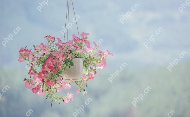 网名女生简短好听三字 好听网名女生唯美清纯3个字 - php中文网