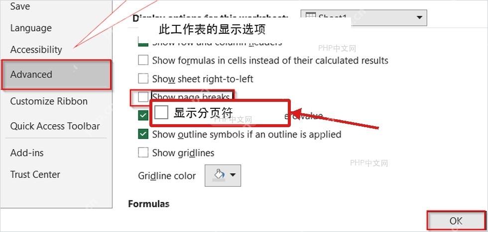 Excel高级设置中取消显示分页符并点击确定