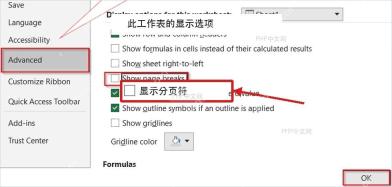 Excel高级设置中取消显示分页符并点击确定