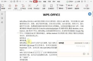 如何设置PDF文档中插入符的颜色?结果检查