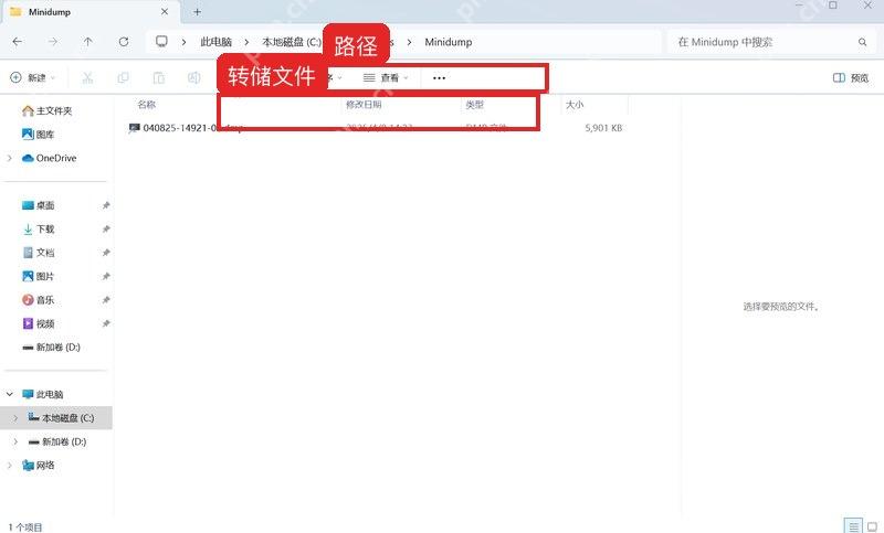 文件资源管理器打开 Windows Minidump 文件夹