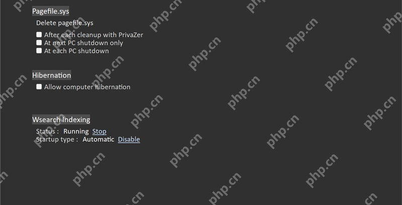 PrivaZer Memory 页查看 Wsearch Indexing 设置