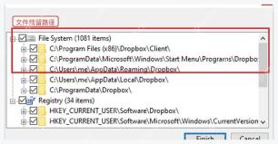 Geek Uninstaller 残留扫描窗口中 File System 下的 AppData 和 ProgramData 路径