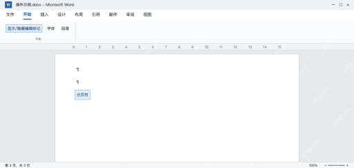 模拟 Word显示段落标记后,空段落和手动分页符可见