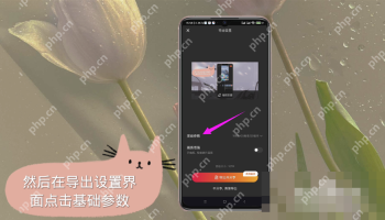 快影导出设置中选择画面规格