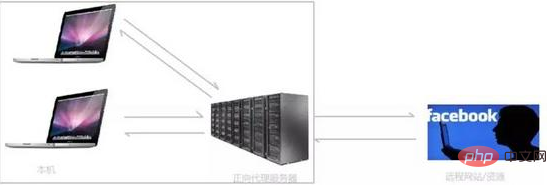 What can nginx do?