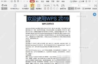PDF播放时，如何放大页面？入口位置