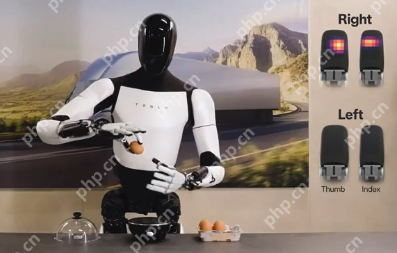 揭秘特斯拉人形机器人训练内幕:员工身心俱疲,感觉像“小白鼠” - php中文网