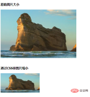 1637825195416573.png CSS로 이미지를 작게 만드는 방법